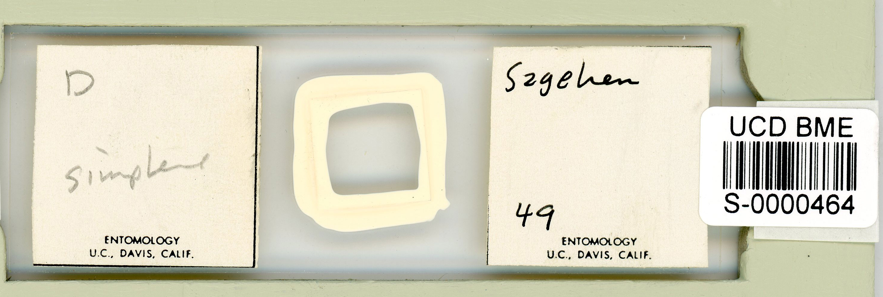 Itaquascon simplex image