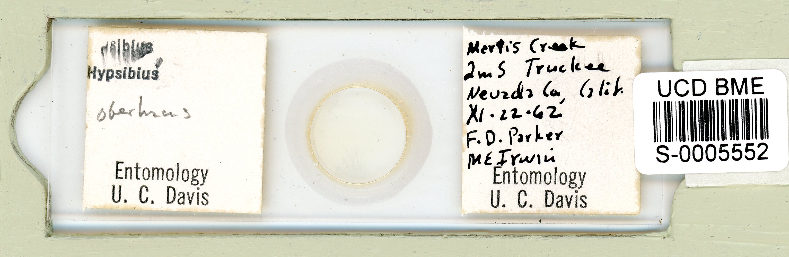 Ramazzottius oberhaeuseri image
