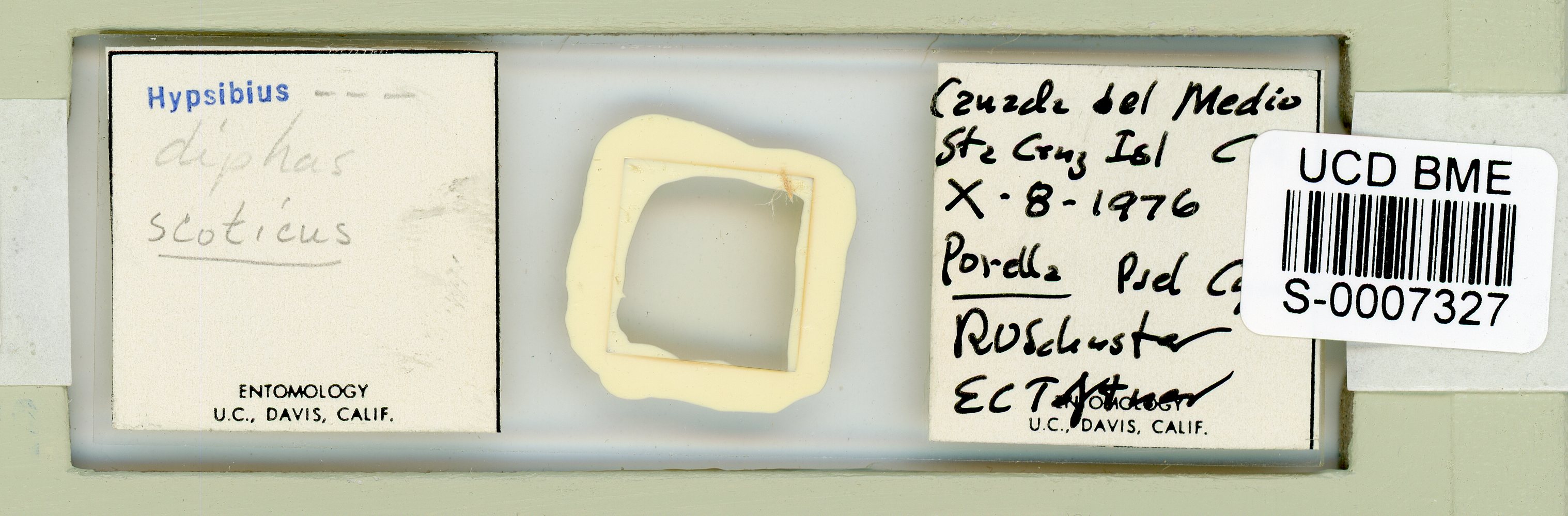 Adropion scoticum image