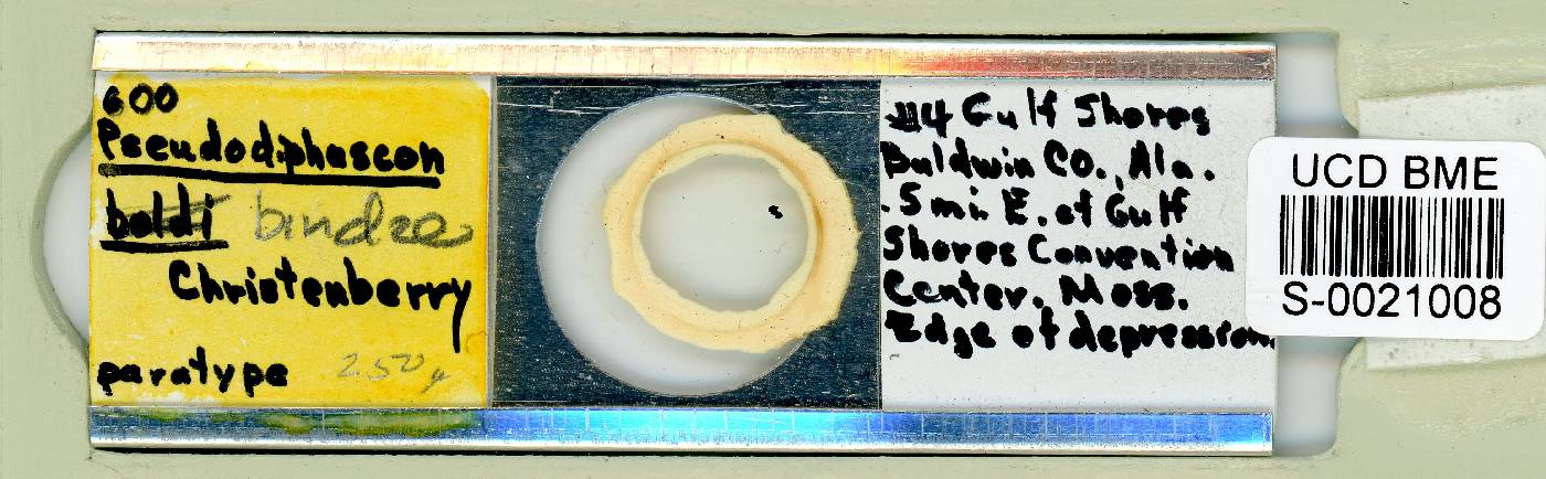Biserovus image